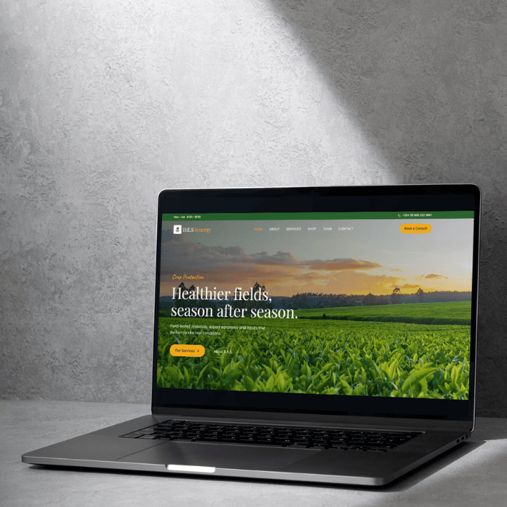 Professional Nigerian business website designed by Bless Kimbi
